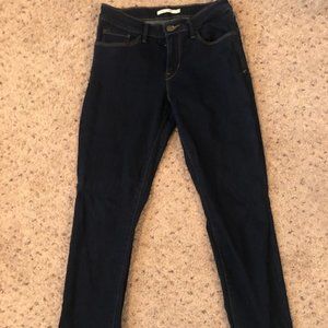Levi's Dark Wash Skinny Jeans